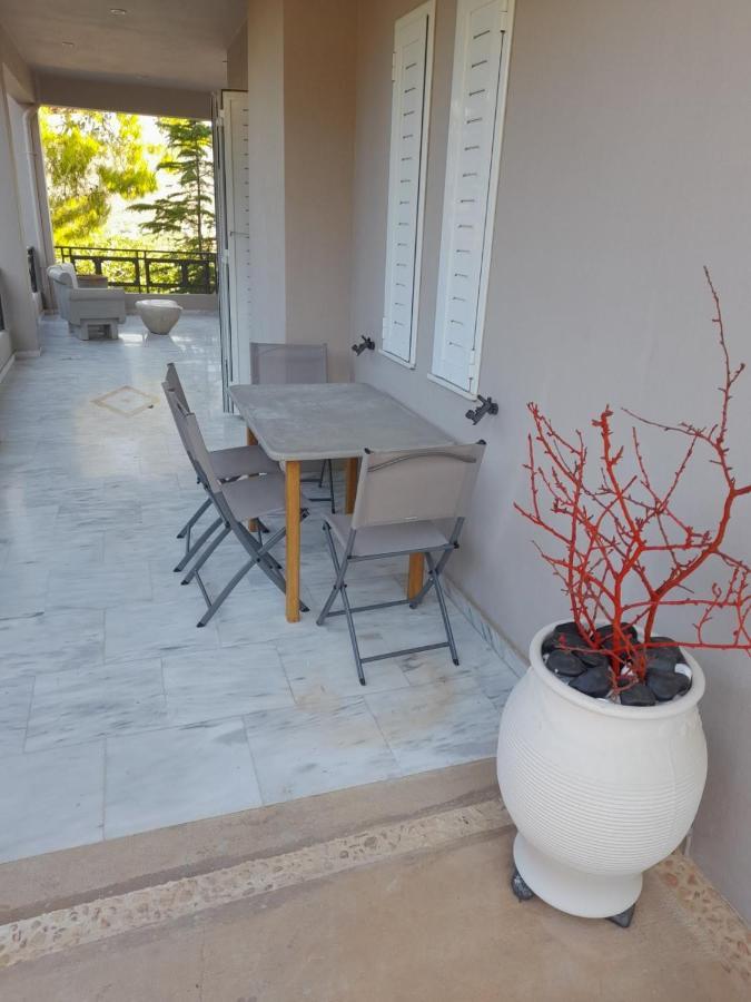 Suite With Garden Agia Marina  Luaran gambar